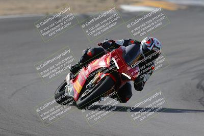 media/Nov-05-2022-SoCal Trackdays (Sat) [[f8d9b725ab]]/Turns 9 and 8 (1050am/